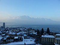 20150208 090524  8 Feb: mid-winter morning