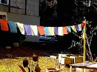 20150220 120357  Prayer flags