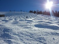 20150211 114651  11 Feb: Carol skiing bumps