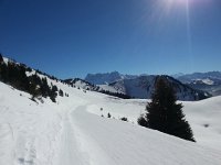 20150218 130044  Les Dents du Midi from Tronchey