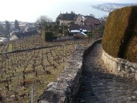 20150215 151917  The way home.