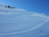 20150226 102723  Fresh tracks in the shadows