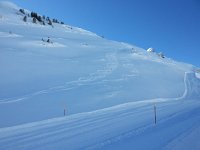 20150226 103506  I had it to myself.