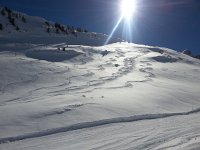 20150226 131433  more tracks, and