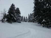 20150204 101409  A nearly perfect Workout Wednesday: only a few people present, like the telemarker who made the big turn on the right...