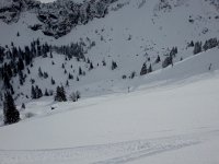 20150204 120602  and lots of areas remained untracked.