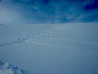 20150204 144023  More tracks...