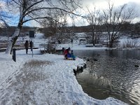 20150201 111647  Sleds are culturally significant here