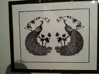 20150201 150310  Peacocks!