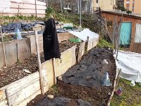 20150110 161350  10 Jan - so warm that I worked in the garden