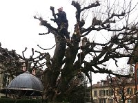 20150119 114835  not soap on a rope, rather a chain saw