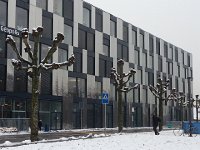 20150120 092945  in Renens, snowline at lake level