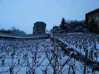 20150127 080649  The vineyard under snow, with city worker clearing the steps