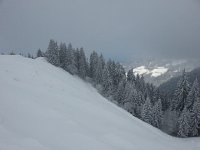 20150125 114558  Sunflecks on the Cubly