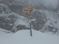 20150125 115824  A frosted sign post