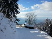 20150125 143153  The Vaud flag -liberté et patrie - flaps above the lake