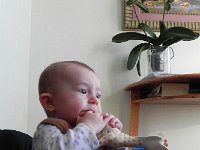 DSCN3069  Sophie is never far away.