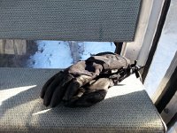 20150107 120603  Gloves in the gondola across the valley