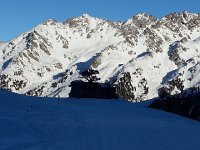 20150107 151217  Pine with Metailler in the back