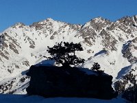 20150107 151337  Zen