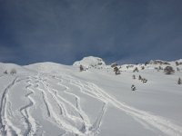20150131 110513  The snow is so deep that the pitch of the slope is really not enough for easy skiing