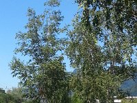 20150721 144443  The bicycle route through Villeneuve