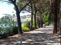20150721 150531  The shady promenade along the lake in Territet