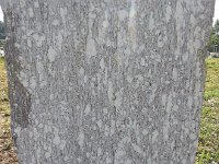 20150730 093003  Rock Art