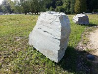 20150730 093011  Shadow play