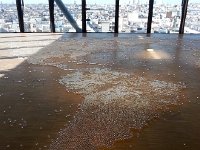 20150709 181929  South America