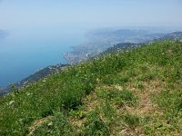 20150704 132912  Back in Montreux on 4 July, we hiked