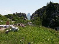 20150704 132924  from Haut-de-Caux up to Rochers de Naye