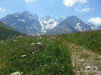 20150701 142742  now with meadow foreground