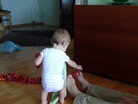 IMG 1587  Val is curious.