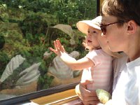 IMG 1602  From Glion we took le petit train down to Les Planches.