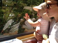 IMG 1603  Watching the world go by.