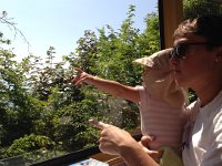 IMG 1608  Where did it go? The universal human language: pointing.