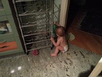 20150716 205934  While Val plays with the water bottle.