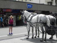 DSCN4112  Yes! We are! Here&#39;s Brigitte in Zermatt with the team of big dappled team horses.