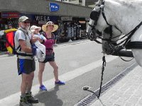 DSCN4115  They look so docile and friendly. They&#39;re actually bored to tears but Val&#39;s curious.