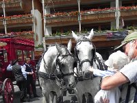 DSCN4118  Val wants to pet the big grey&#39;s nose!