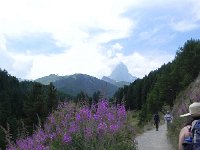 DSCN4159  Trail up to Zmutt.