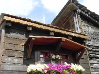 DSCN4197  Baskets of petnuias in bloom.