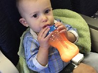 IMG 1828  Plenty of comfort items around but still unsure.