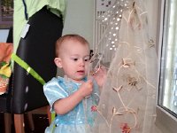 20150717 153222  Look at these little bugs on the window coverings.