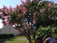 IMG 1669  Alexandrine, Vivianne and Val