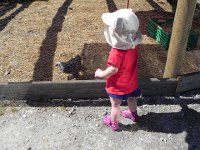 DSCN4267  Val gets up close and personal with the chickens!