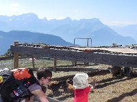 DSCN4268  not quite a &#34;petting zoo.&#34;