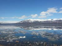 20150606 144220  Reflections