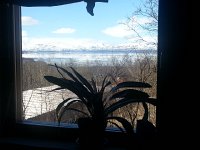 20150606 152045  Orchid in research station.